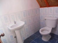 /album/fotogaleria-novedades/a397878-235815089827877-1551675638-n-jpg/